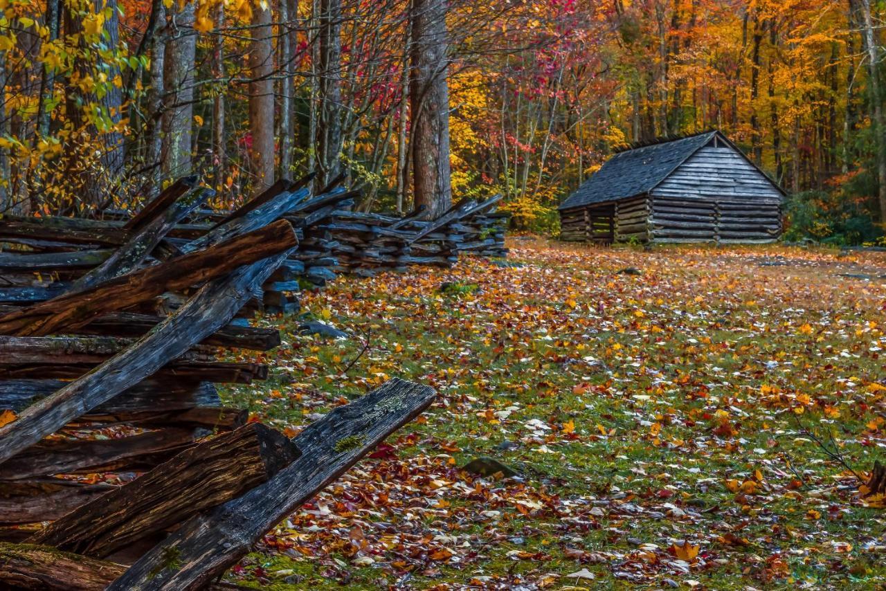 Love Shack Sevierville Luaran gambar