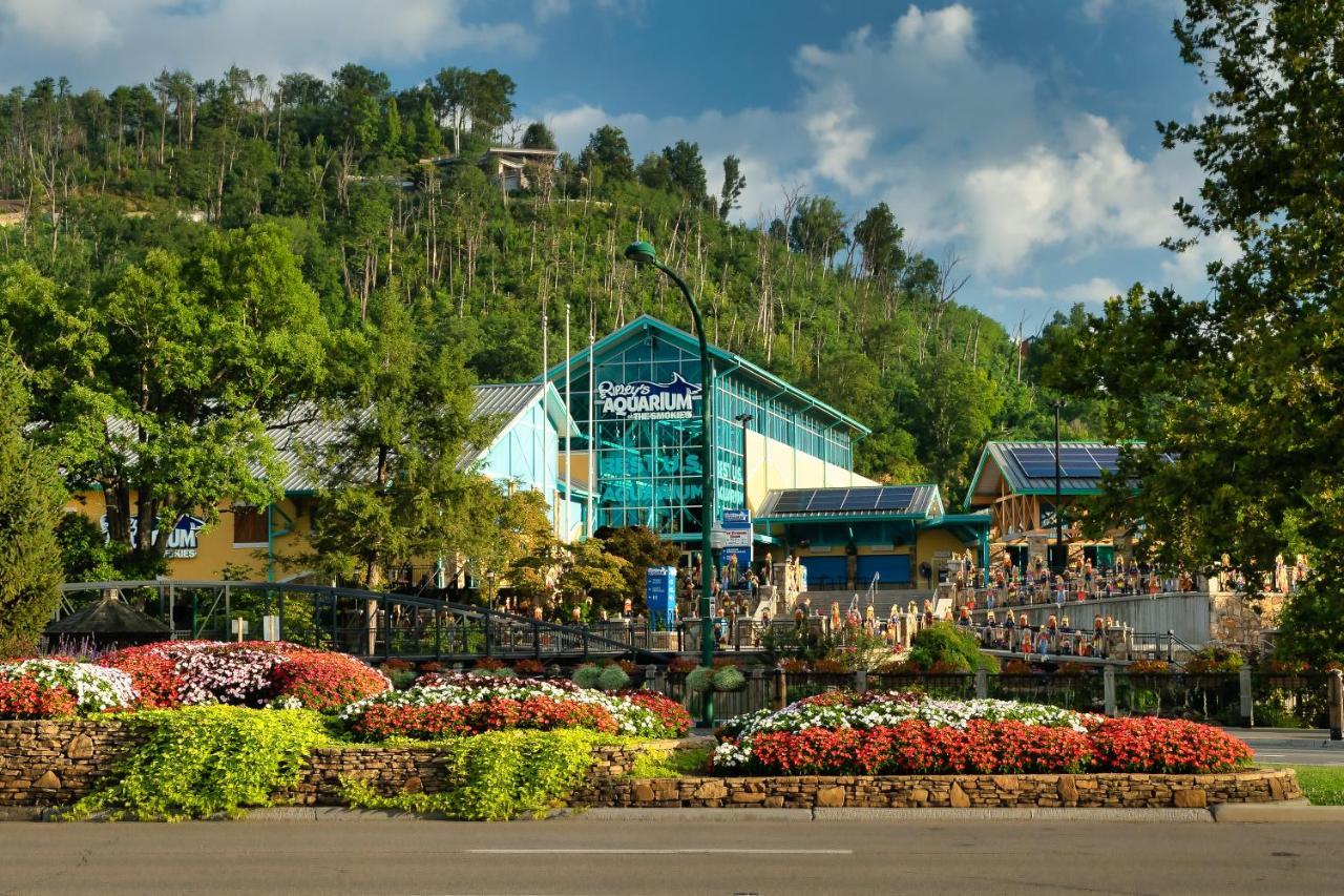 Love Shack Sevierville Luaran gambar